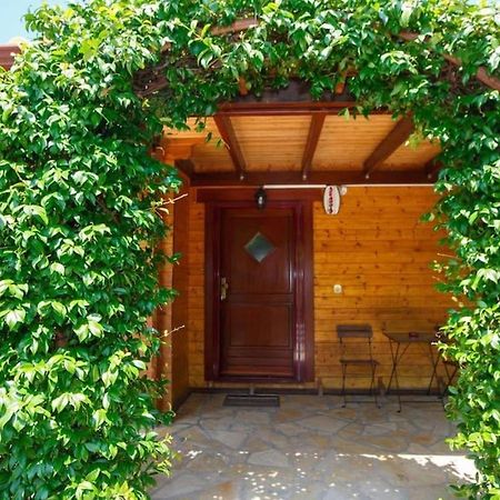 Wooden House In Ioannina Apartment Екстериор снимка