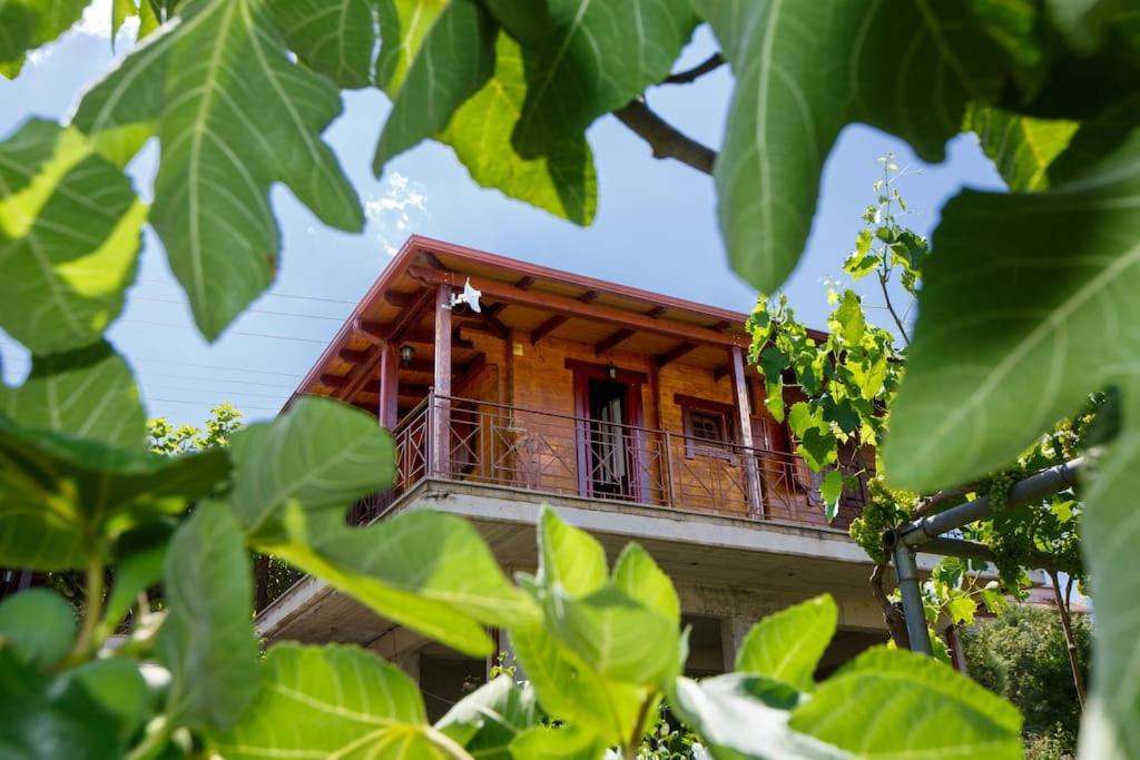 Wooden House In Ioannina Apartment Екстериор снимка