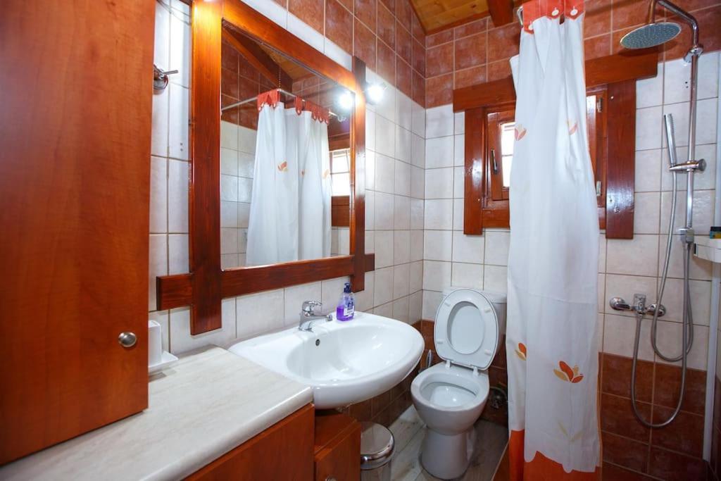 Wooden House In Ioannina Apartment Екстериор снимка