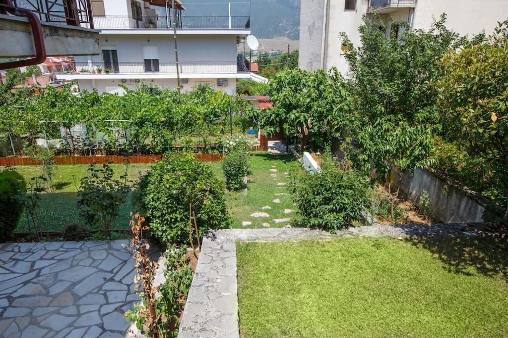 Wooden House In Ioannina Apartment Екстериор снимка