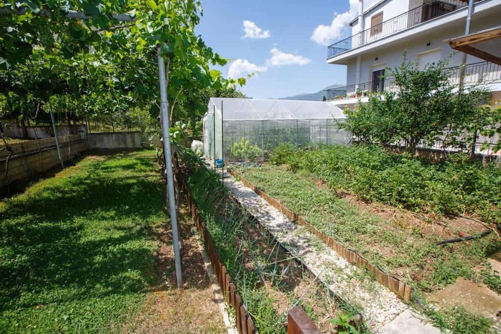 Wooden House In Ioannina Apartment Екстериор снимка