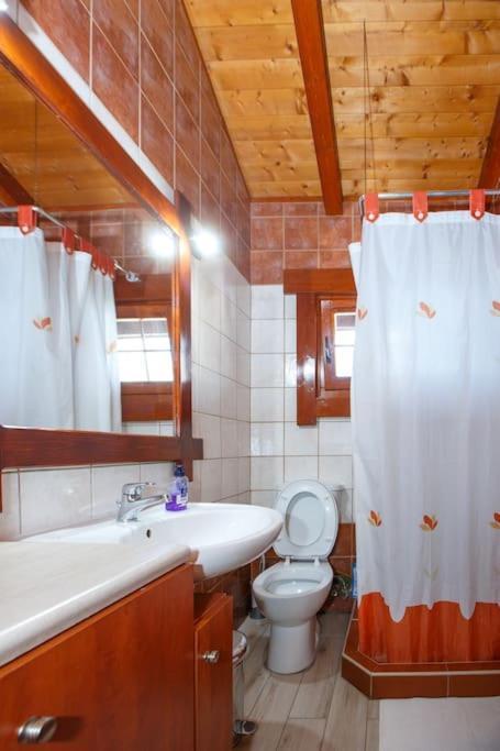 Wooden House In Ioannina Apartment Екстериор снимка