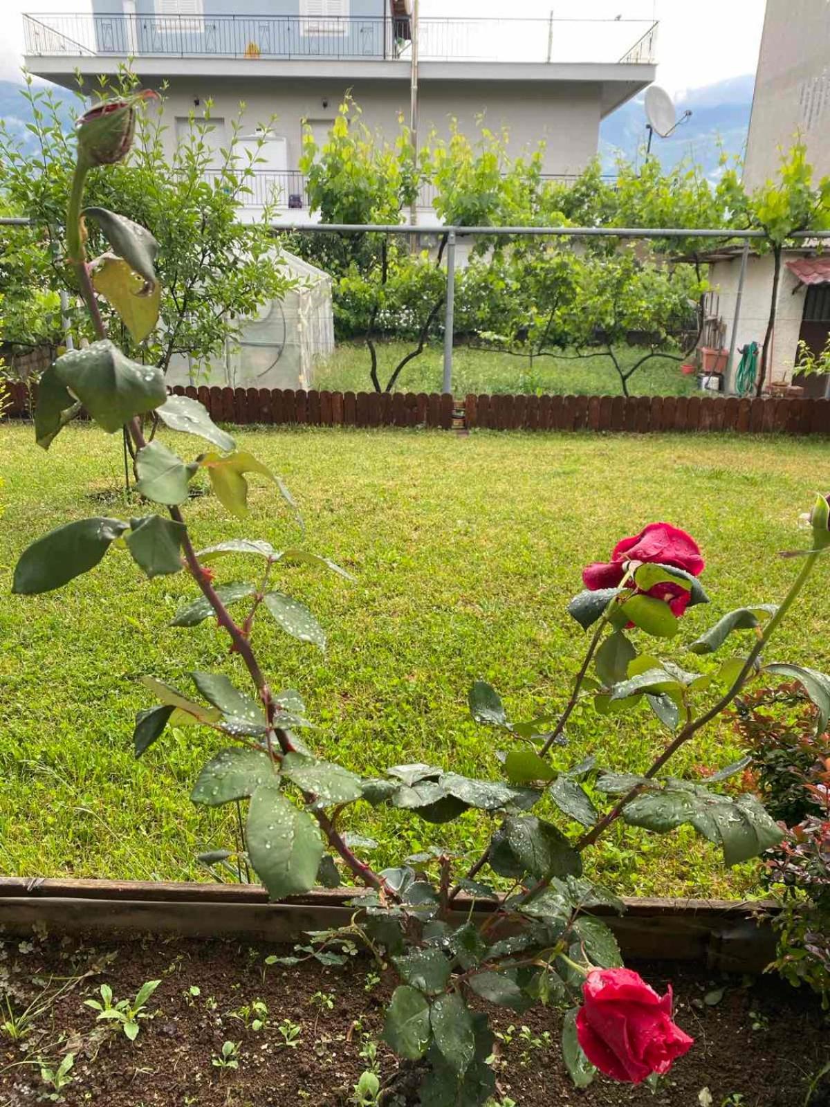 Wooden House In Ioannina Apartment Екстериор снимка
