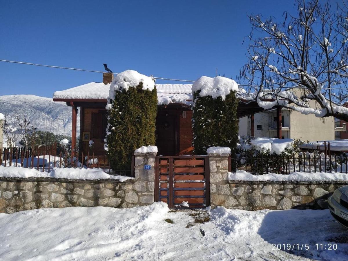 Wooden House In Ioannina Apartment Екстериор снимка