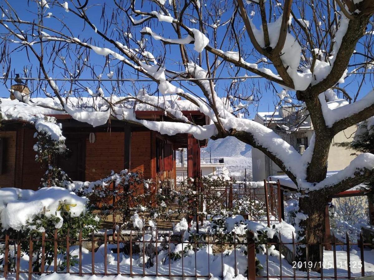 Wooden House In Ioannina Apartment Екстериор снимка