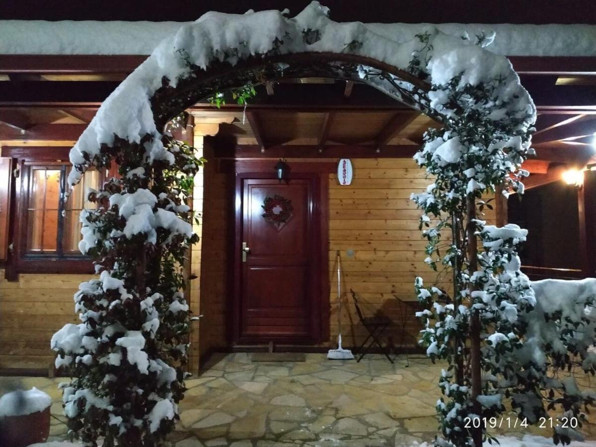 Wooden House In Ioannina Apartment Екстериор снимка