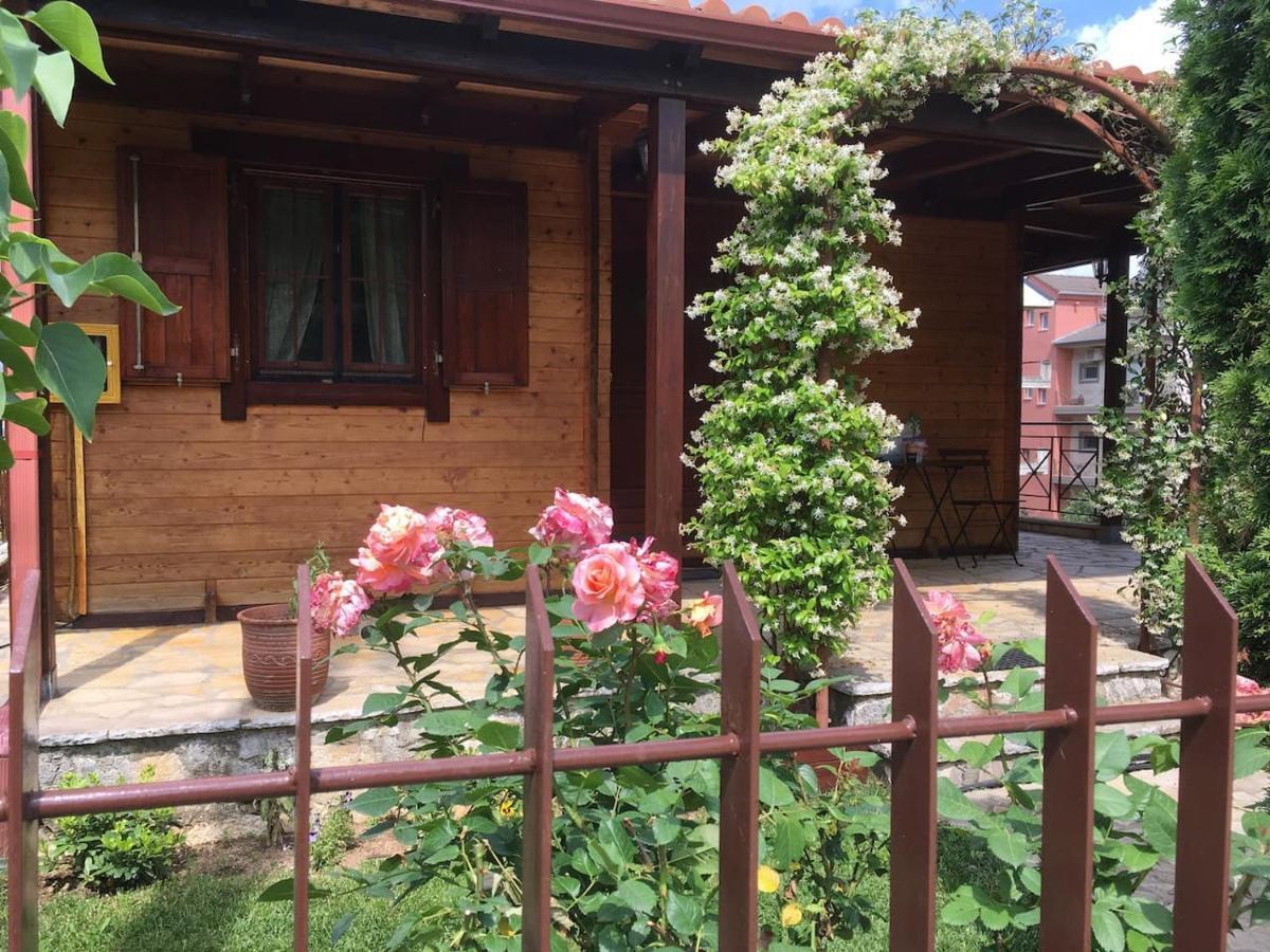 Wooden House In Ioannina Apartment Екстериор снимка