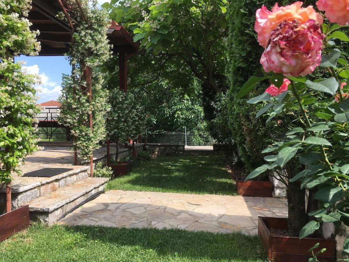 Wooden House In Ioannina Apartment Екстериор снимка