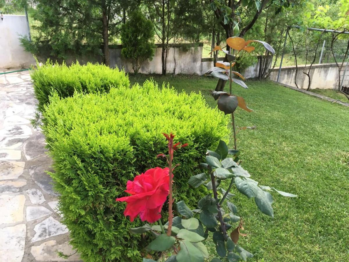 Wooden House In Ioannina Apartment Екстериор снимка